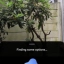 Pixel 10 Pro - Camera Coach