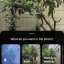 Pixel 10 Pro - Camera Coach