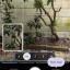 Pixel 10 Pro - Camera Coach