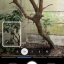 Pixel 10 Pro - Camera Coach