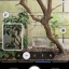 Pixel 10 Pro - Camera Coach