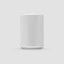 Sonos Era 100