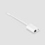 Sonos Era 300 combo adapter wit