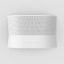 Sonos Era 300
