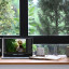 Klipsch The One Plus in walnoot