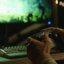 Steam Controller