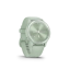 Garmin Vivomove Sport (Cool Mint)