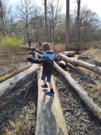 De fotokwaliteit van de Motorola Edge 30 Pro is redelijk tot goed, maar niet geweldig. Zie bijvoorbeeld de aftekening van de bomen tegen de lucht in deze foto.