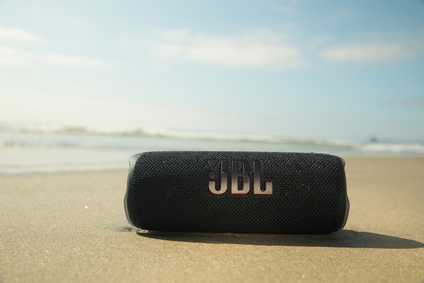 JBL Flip 6