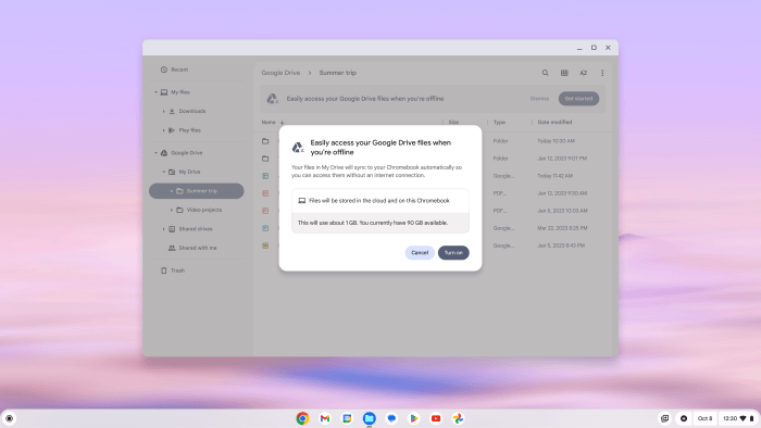 Chromebook Plus File Sync