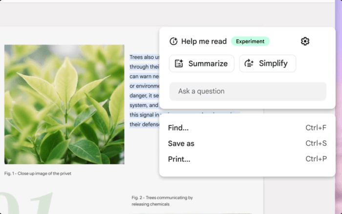 Google Simplify