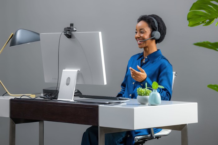 Logitech Zone Wireless 2
