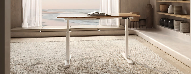 FlexiSpot E8 zit sta bureau