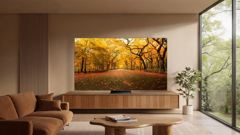 TCL 65C8L