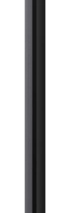 TCL C8L