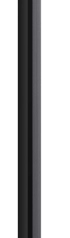 TCL C8L