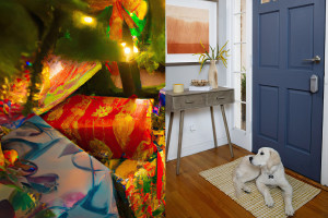 TechFi December 2023 giveaway #27: Yale Linus smart lock